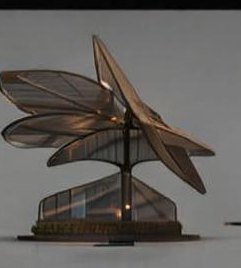 Unfold — the canopy unfolds from the container
